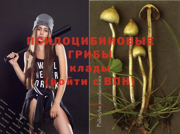 крисы Богородск