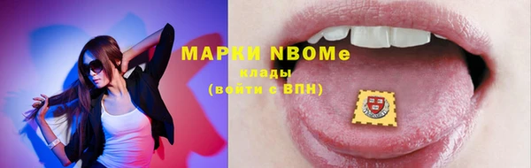 гидропоника Бородино