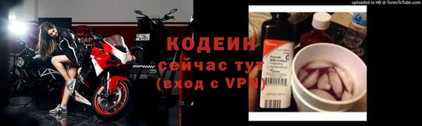 метадон Богданович