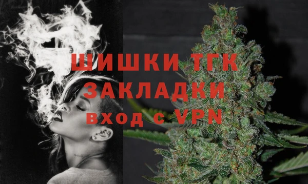 гидропоника Бородино