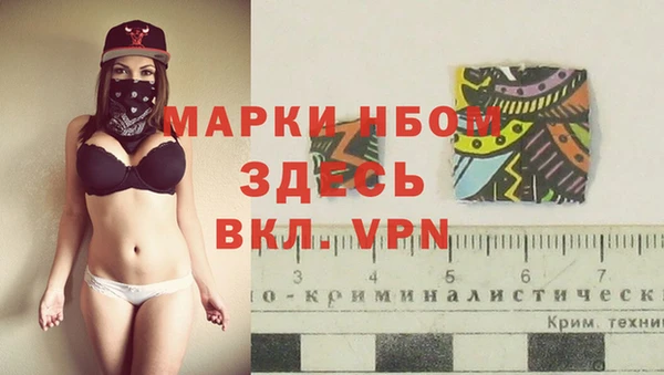 метадон Богданович