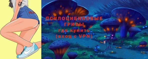 спайс Богородицк